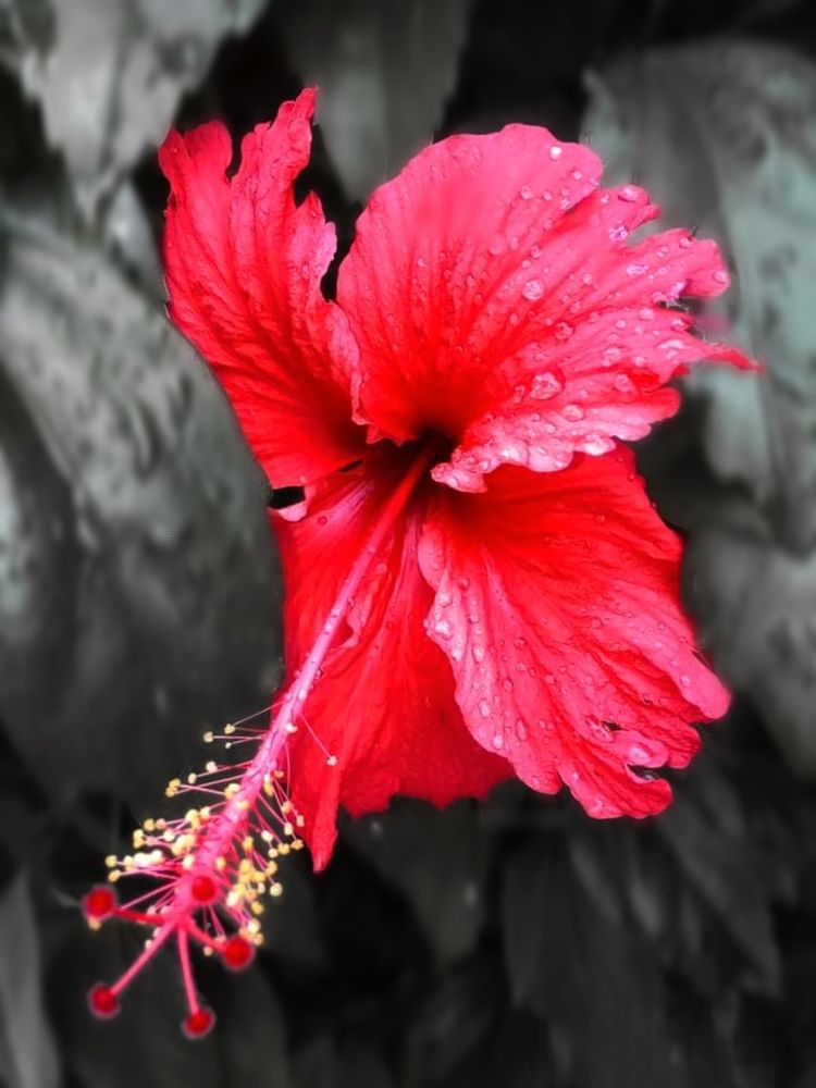 Photograph by Aklimay Sajor