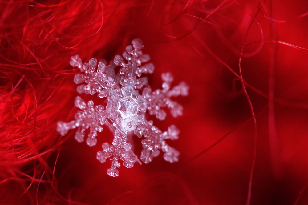 Photograph by Юлия Шаля