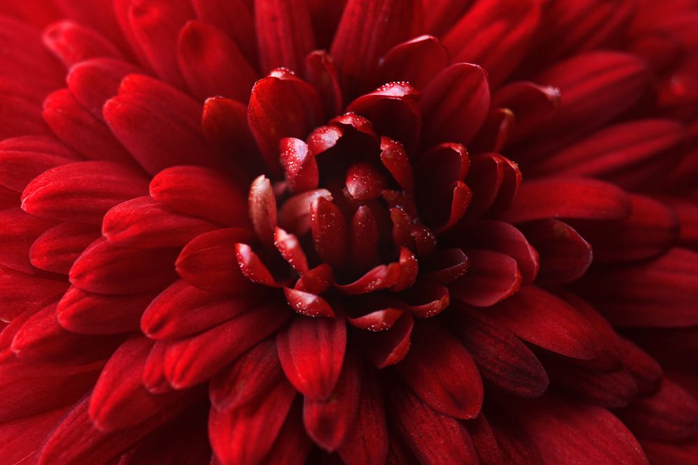 Photograph by Юлия Шаля