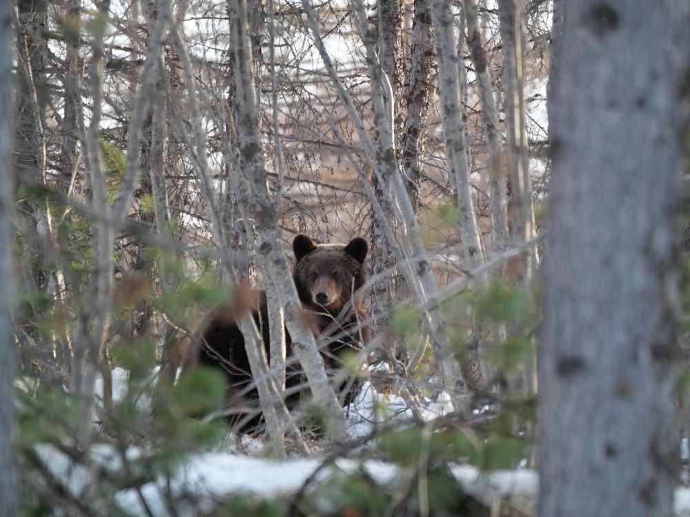 Photograph by Dmitriy Marchenko