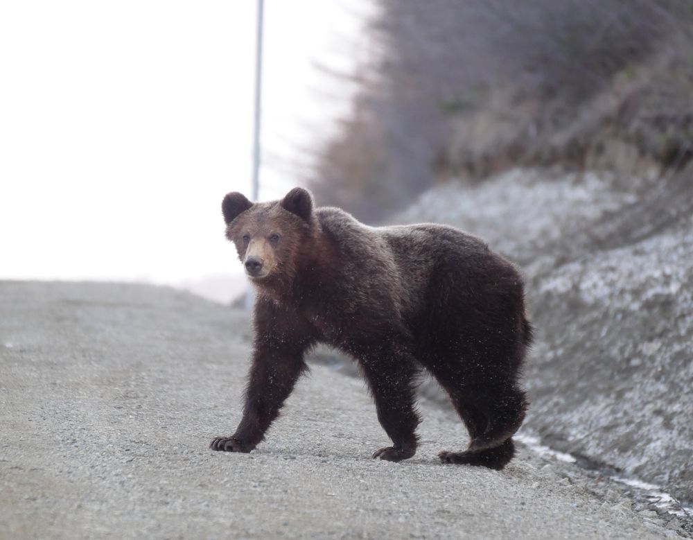 Photograph by Dmitriy Marchenko