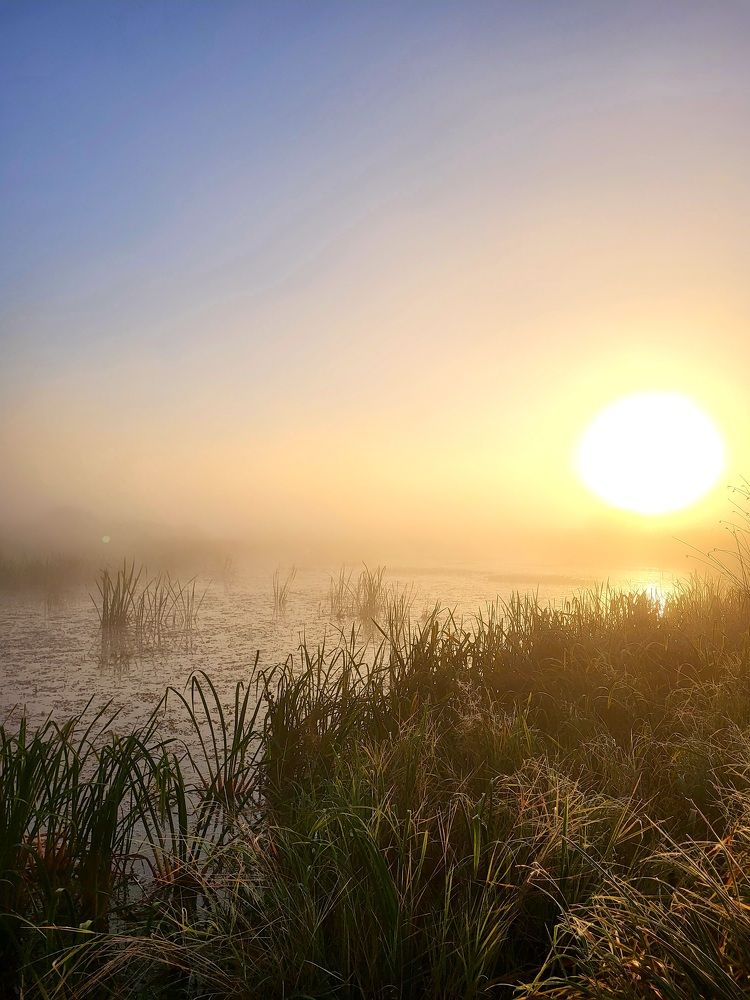 Photograph by Павел