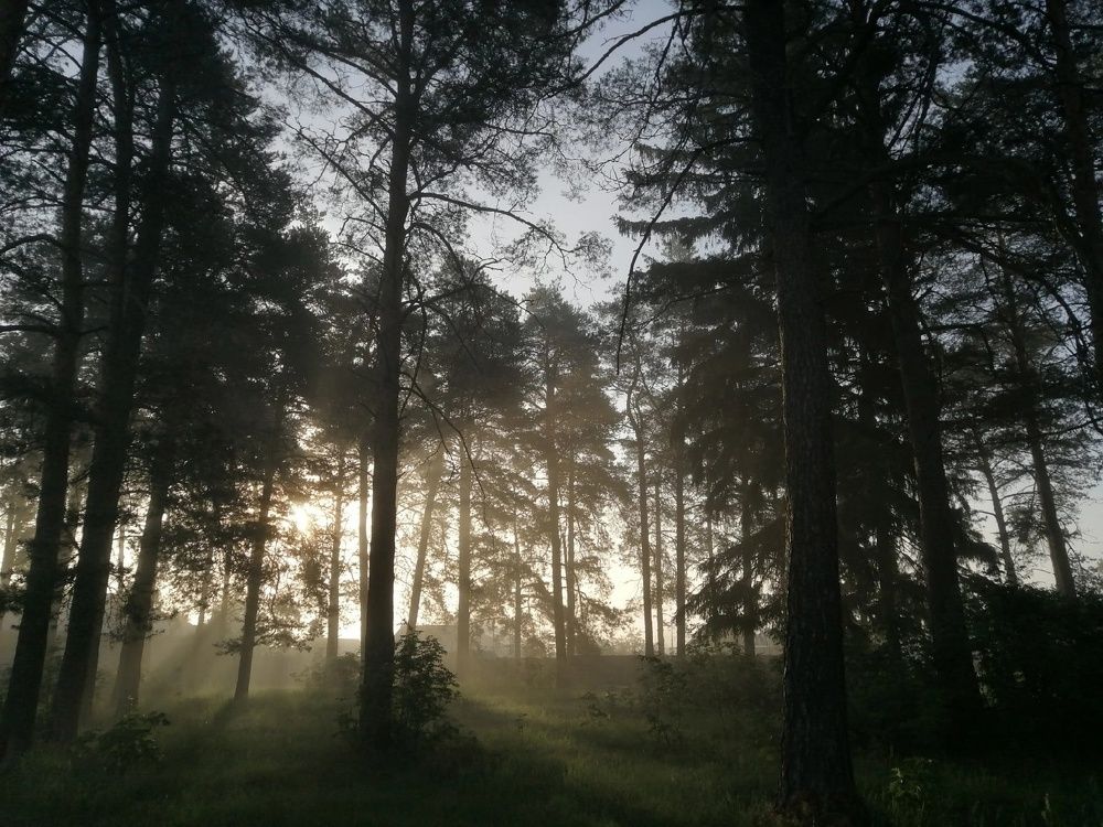 Photograph by Овечкин Павел