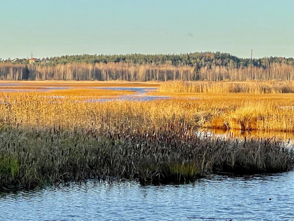 Photograph by Ольга Одаренко