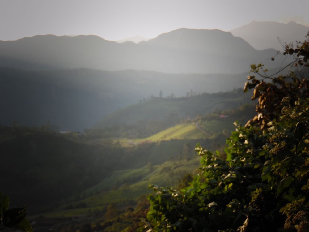 Photograph by Mario Alfonso Gudiño Dávila