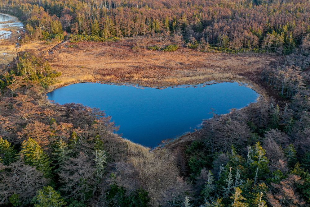 Photograph by Василиса Ногина