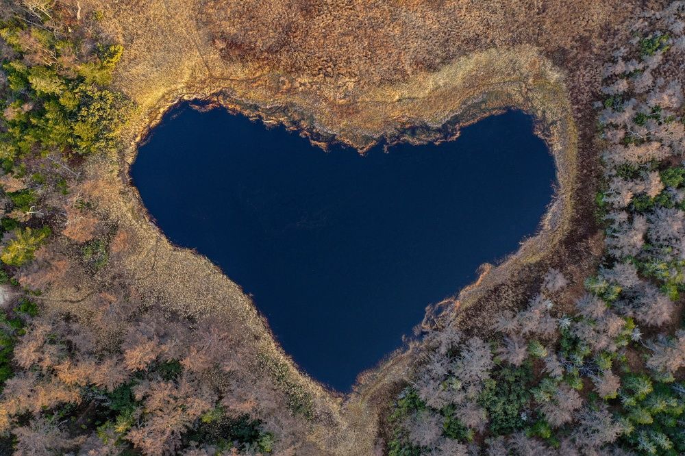 Photograph by Василиса Ногина