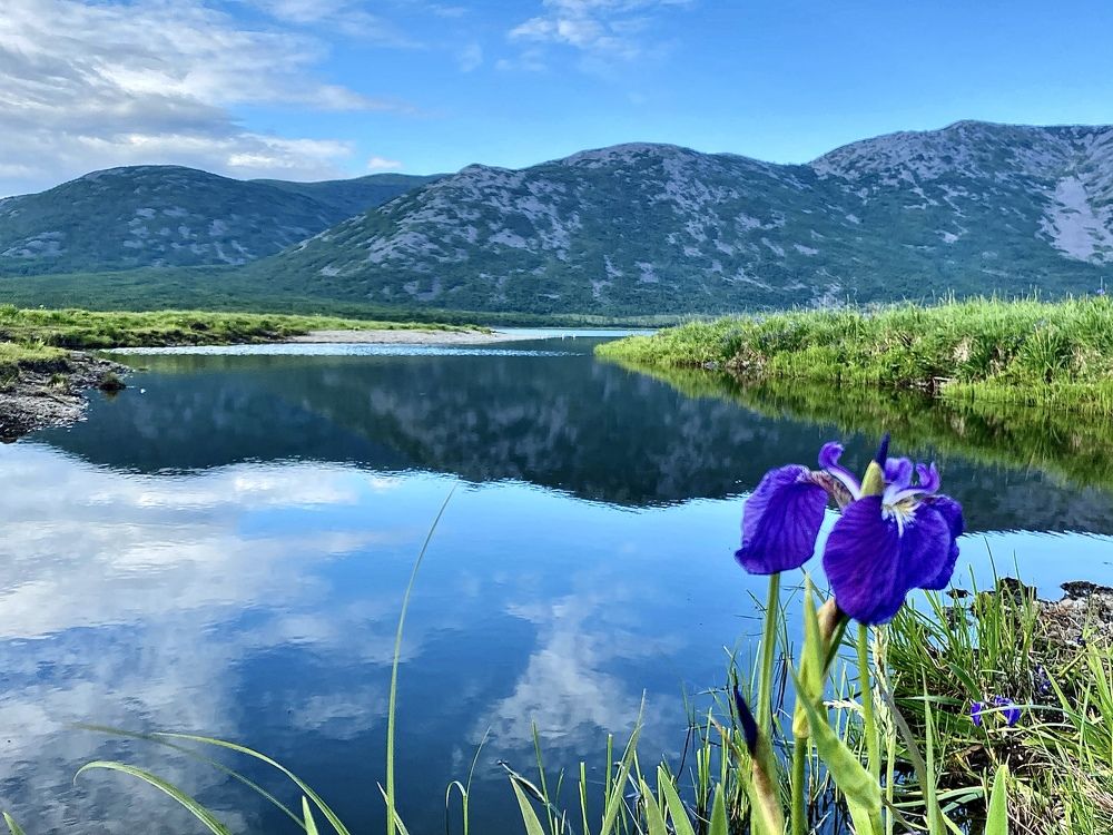 Photograph by Евгения Казакова