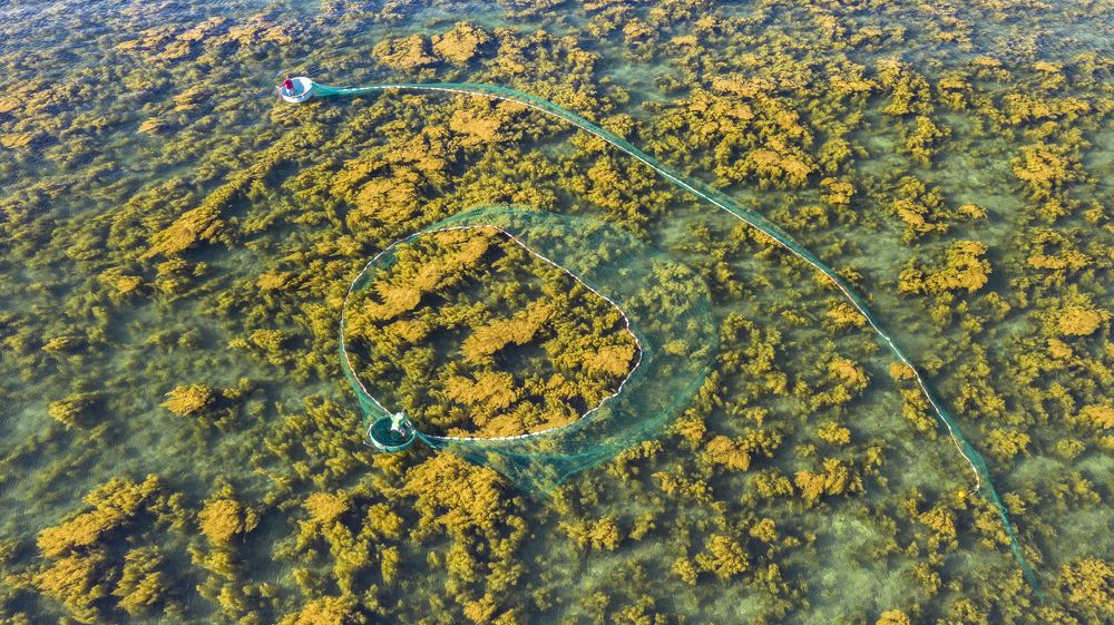 Фотография автора Sơn nguyễn ngọc