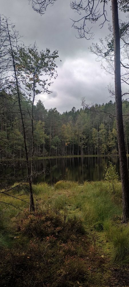 Photo #8394499