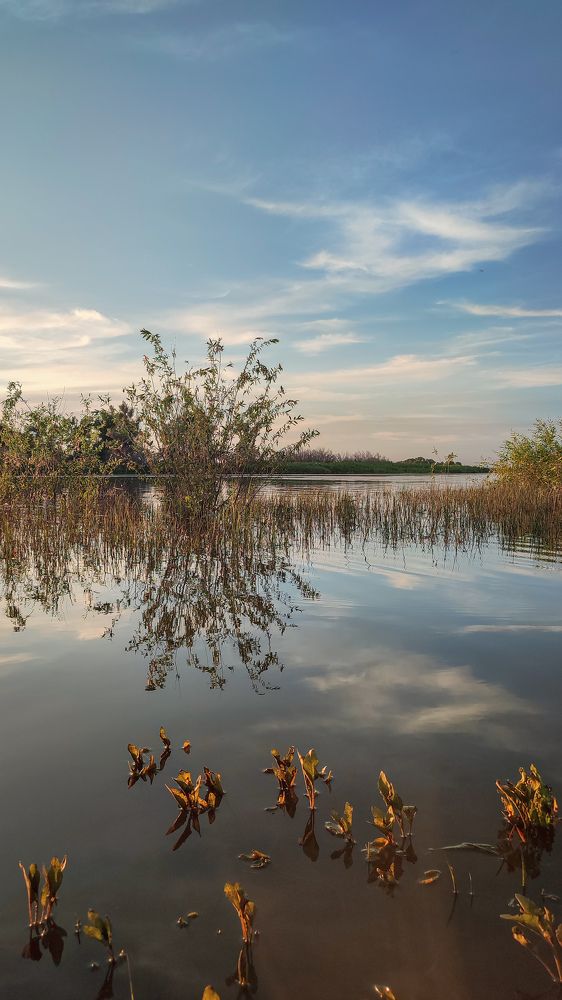 Фотография автора Анастасия Мамаева