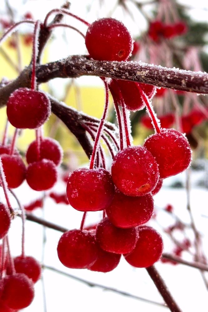 Photograph by Надежда