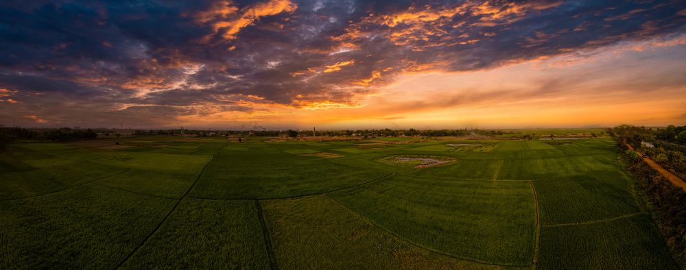 Photograph by Mayukh Roy