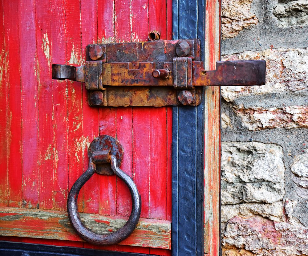 Фотография автора Рохмистрова Мария