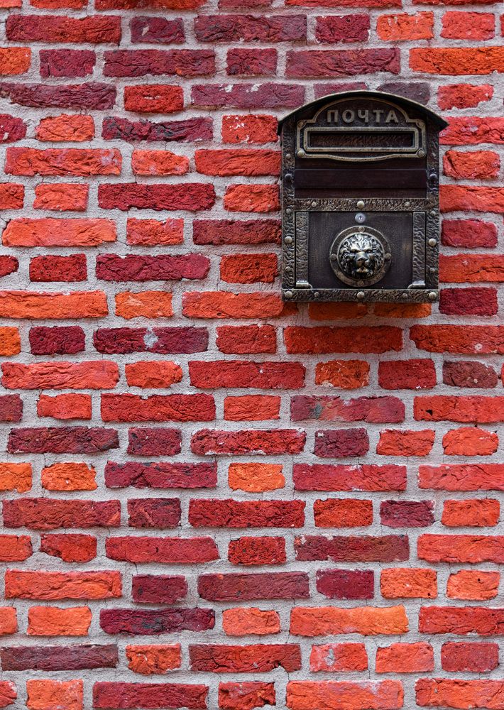 Фотография автора Рохмистрова Мария