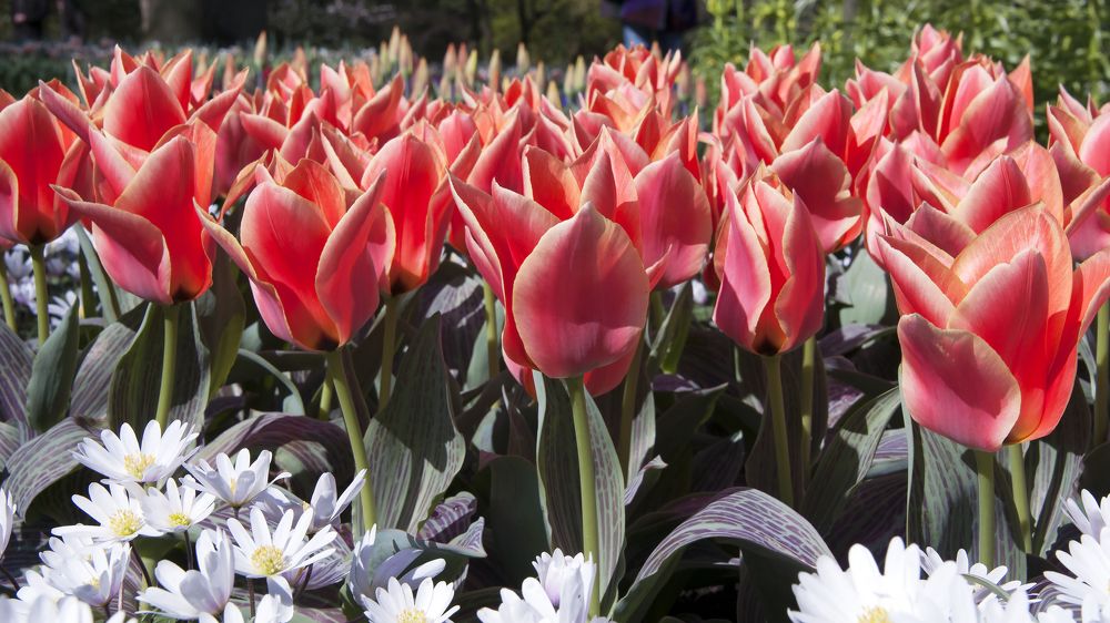 Photograph by Сергей Малеев