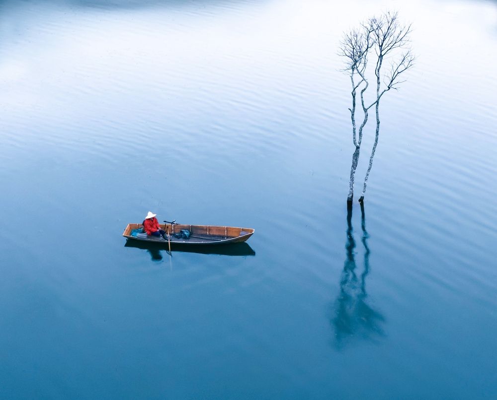 Фотография автора Thi Quynh Nga Pham