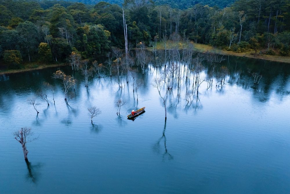 Фотография автора Thi Quynh Nga Pham