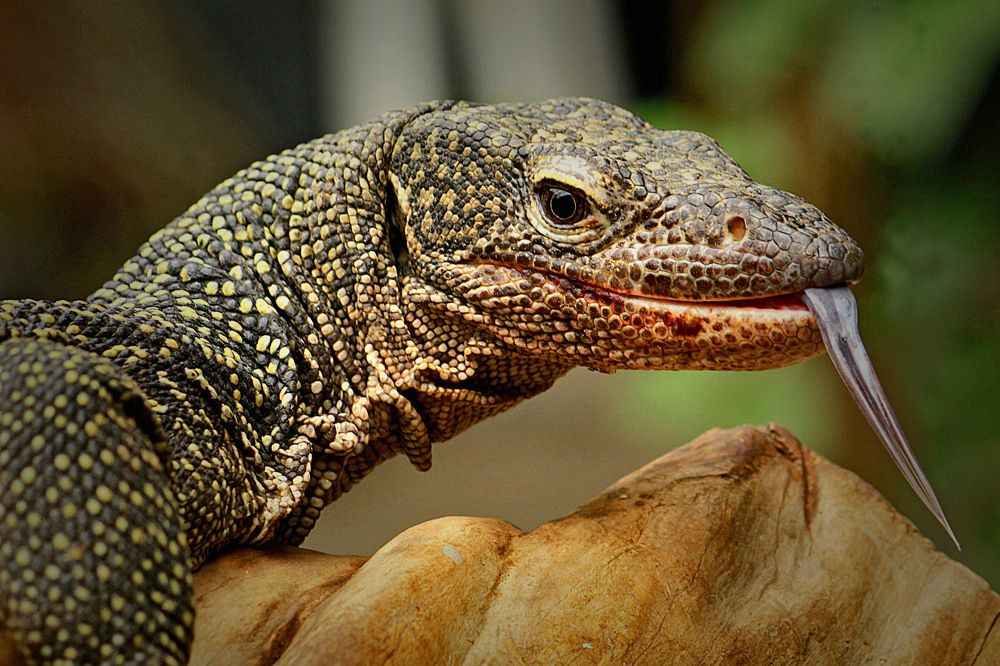 Photograph by erfan afiat sentosa