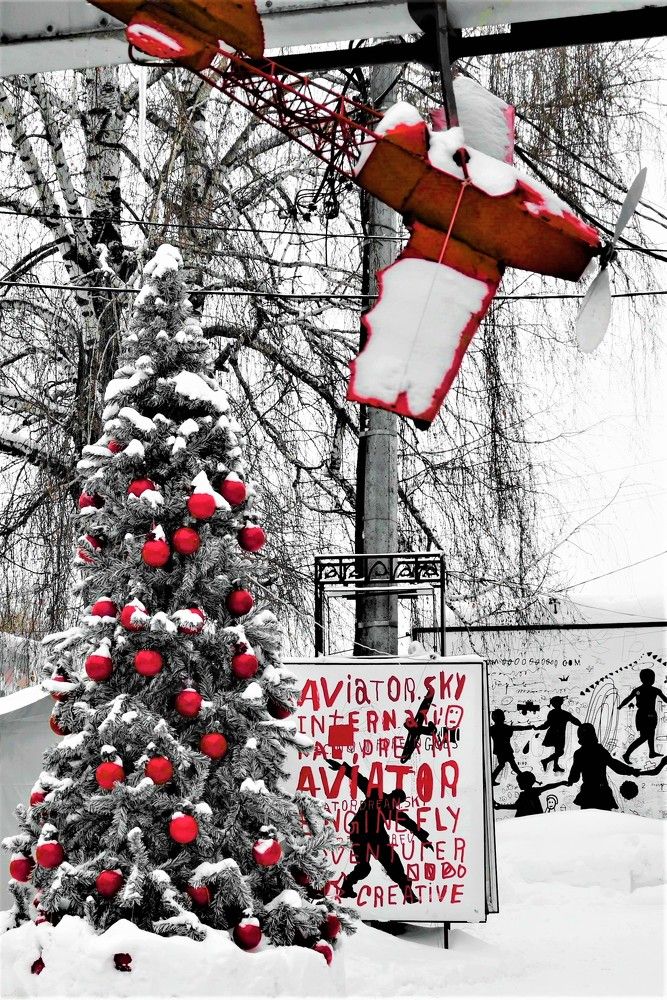 Фотография автора IRINA FILIPPOVA