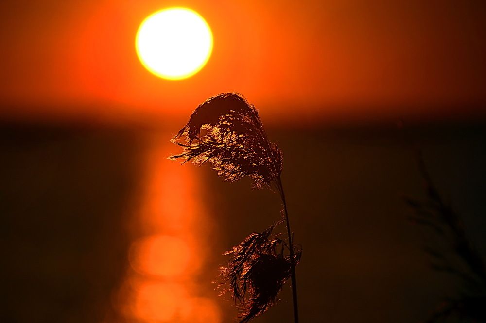 Photograph by Дмитрий Волков