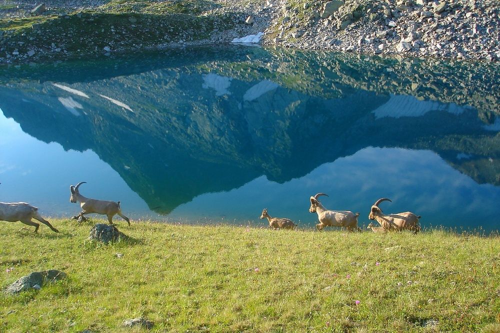 Photograph by Белоусов Александр