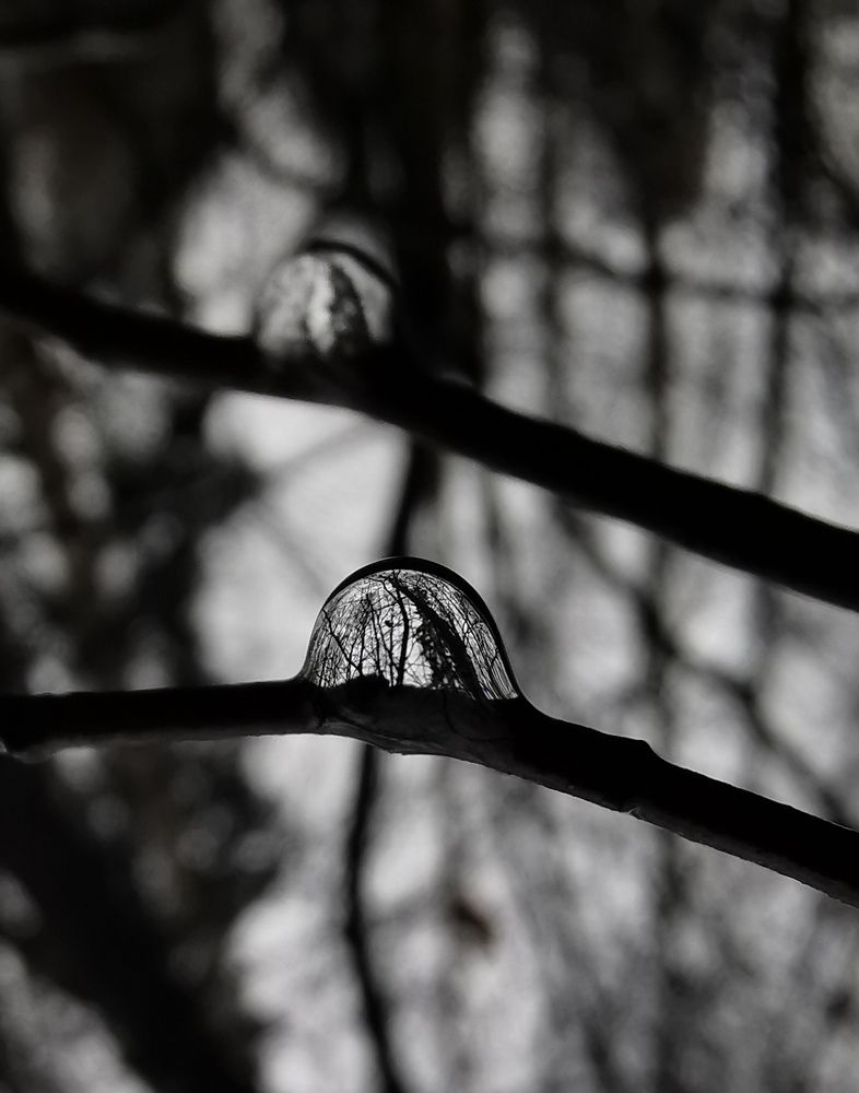Photograph by Наталья Дернова