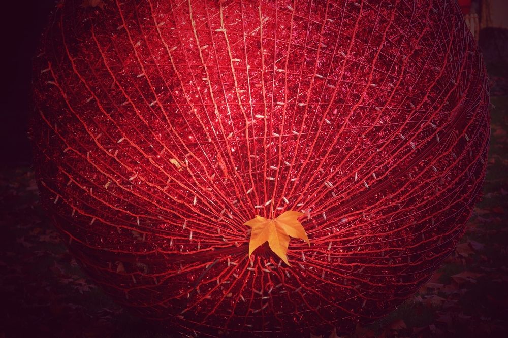 Photograph by Eva Wiedemann