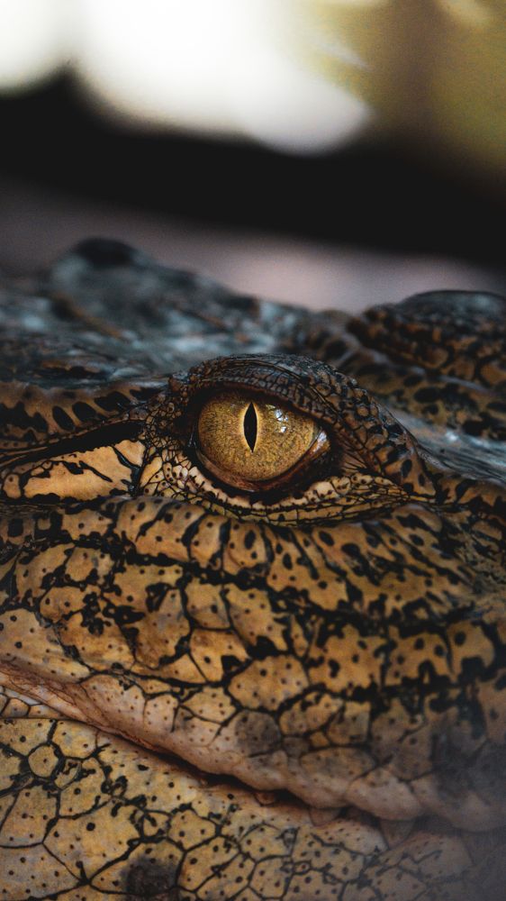 Photograph by vijay Mathiew