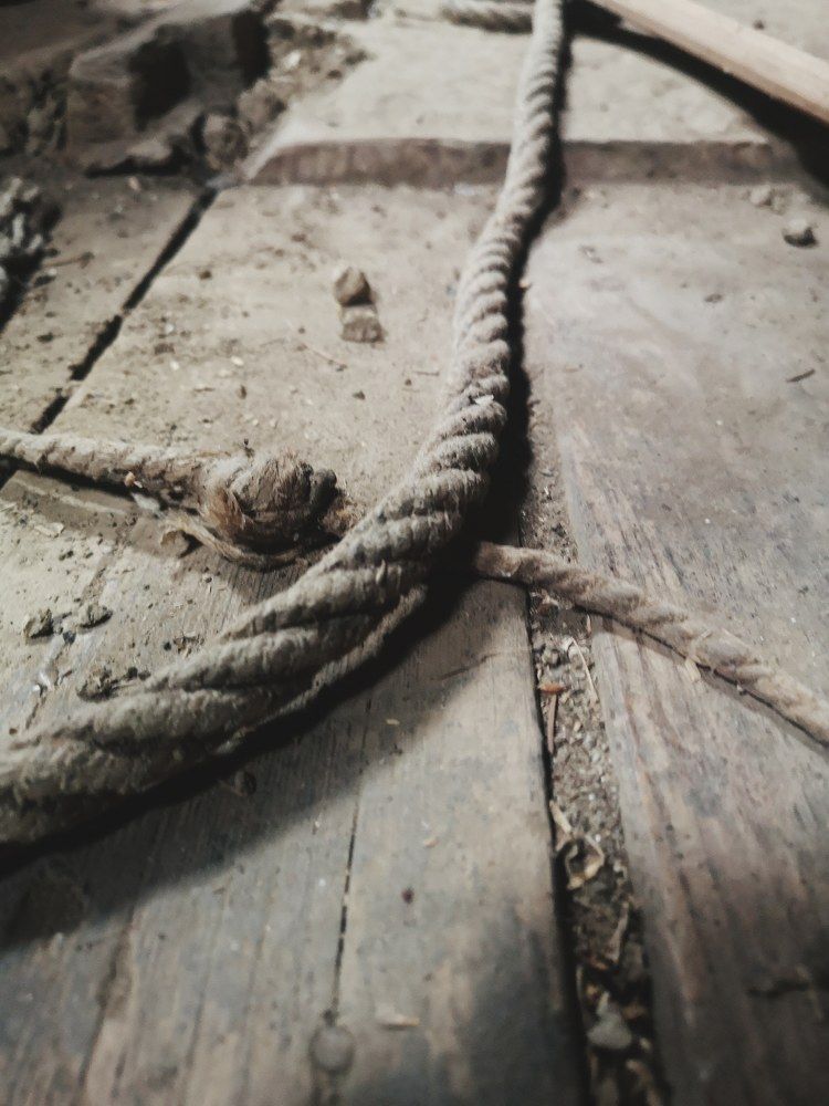 Photograph by Nikolett Mengyi