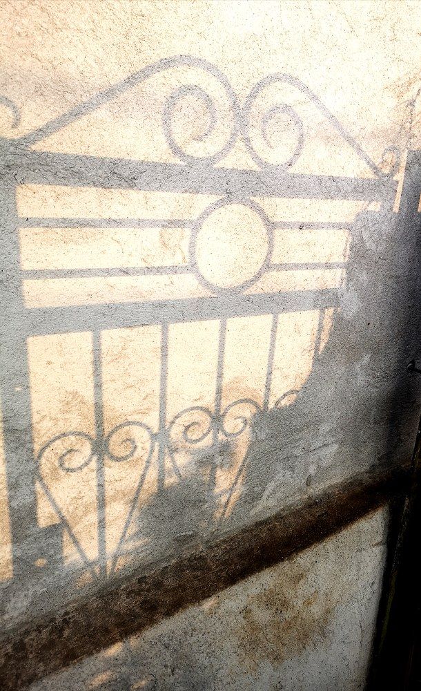 Photograph by Nikolett Mengyi