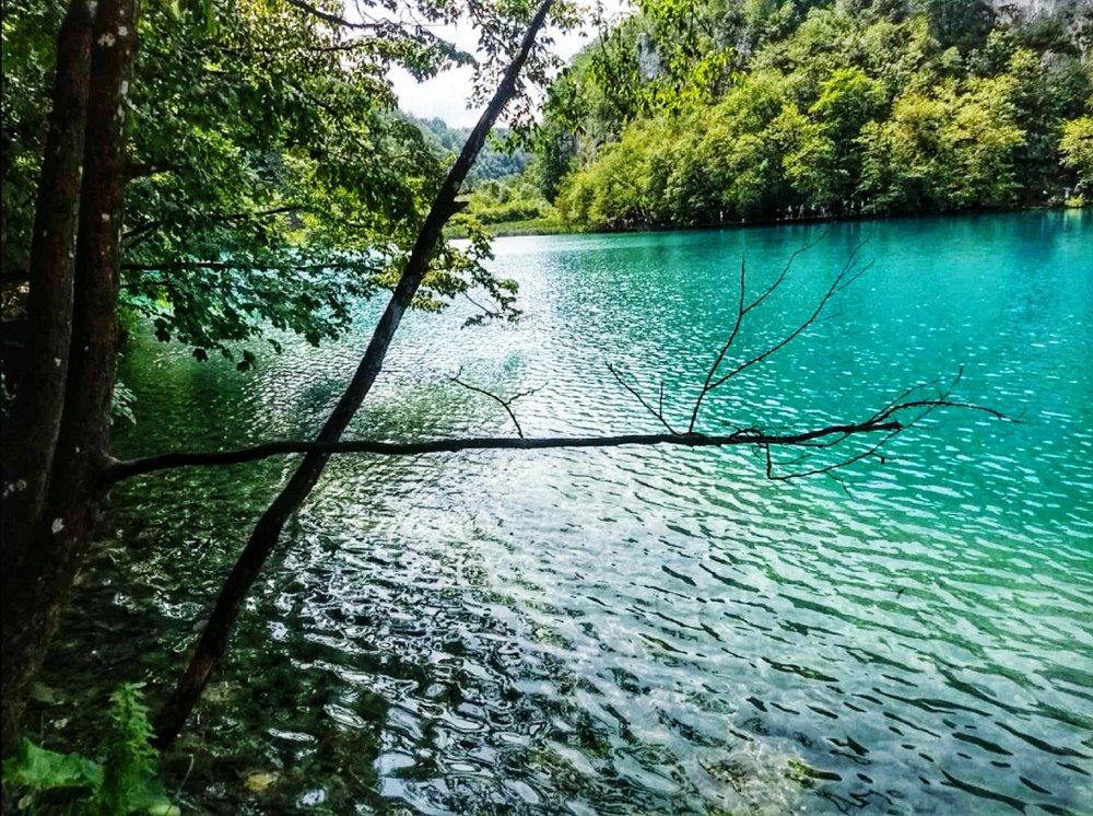 Photograph by Nikolett Mengyi