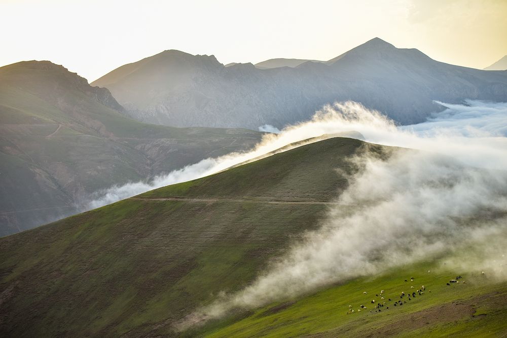 Фотография автора Farhad Alidost