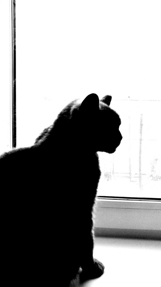 Photograph by Ирина Алпацкая