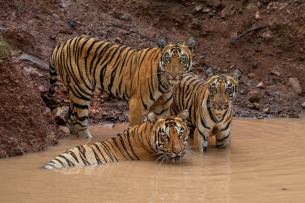 Photograph by Siddharth G. _