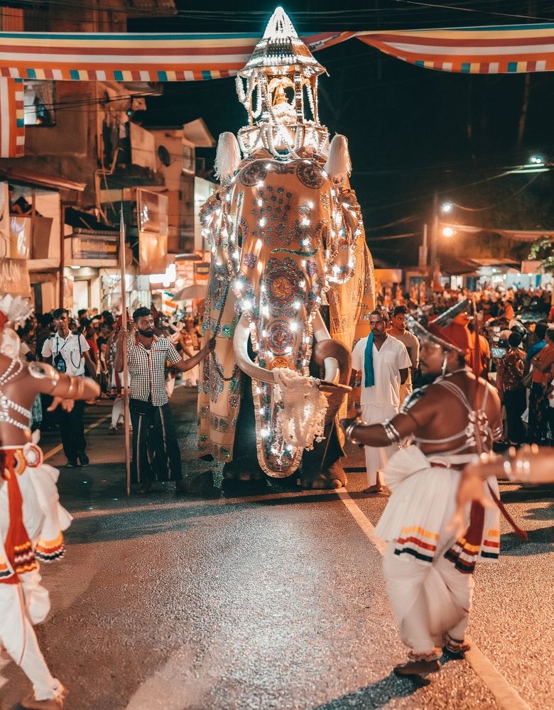 Photograph by Hewage K-vin R