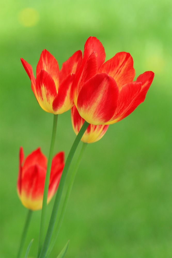 Фотография автора Сергей Кулешов