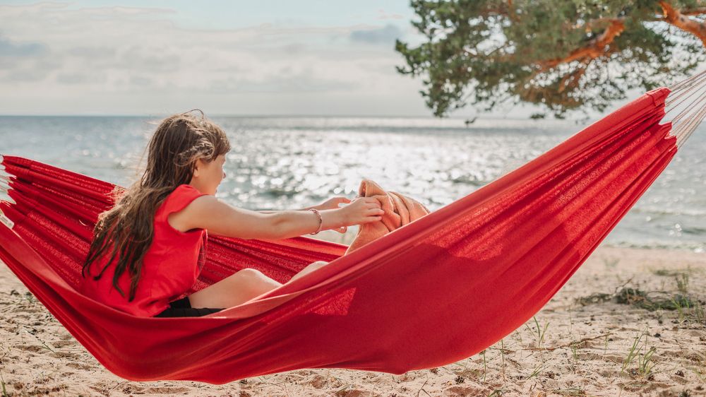 summer, sun, sea and hammock )