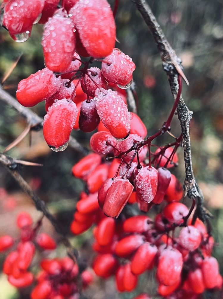 Photograph by Ольга Томашевич