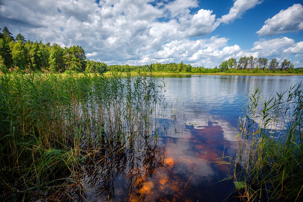 Photograph by Алексей Трифонов