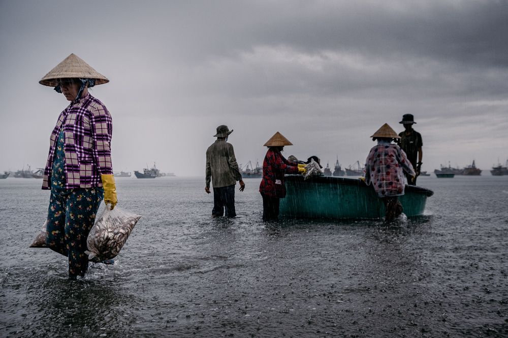 Photograph by Thanh Kim Nguyen