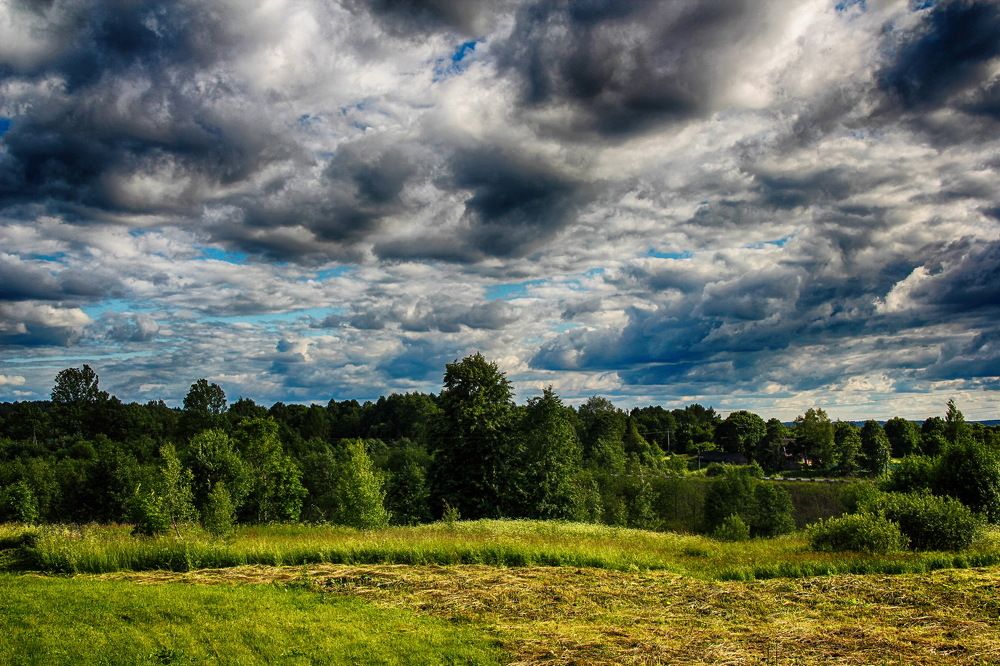 Photograph by ILYA KOREYSHA