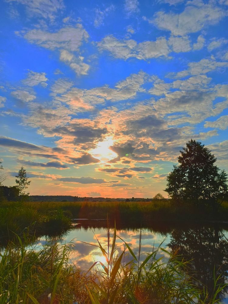 Photograph by Елена