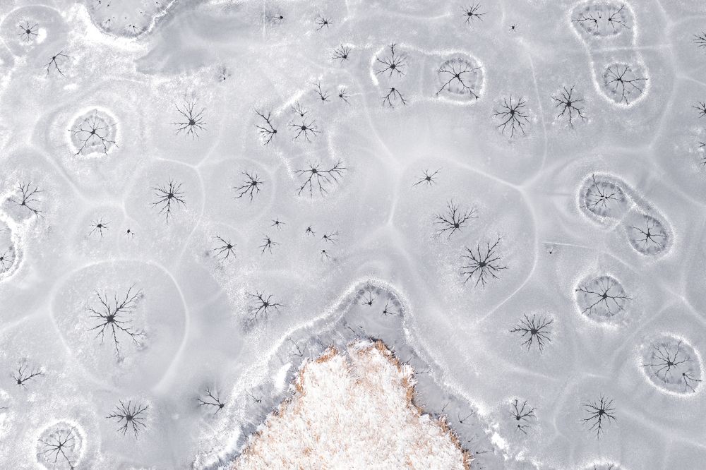 Photograph by Dydkovskiy