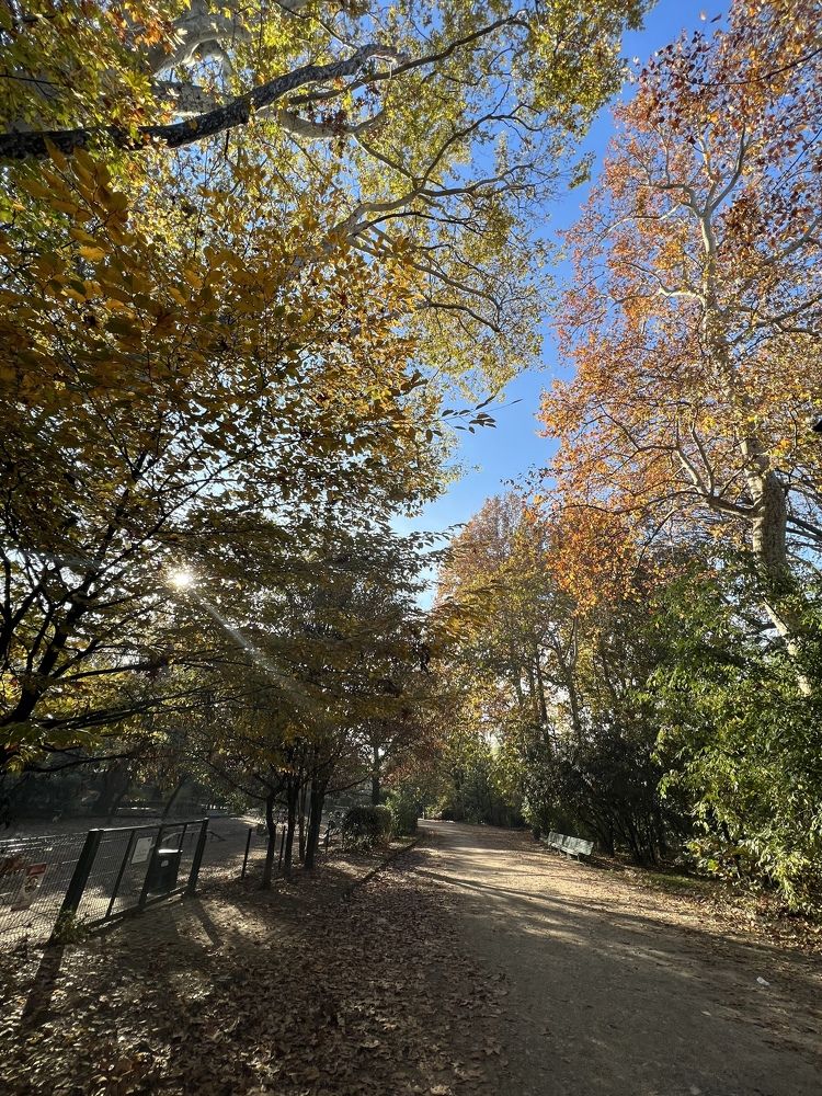 Photograph by Оксана Лабузова