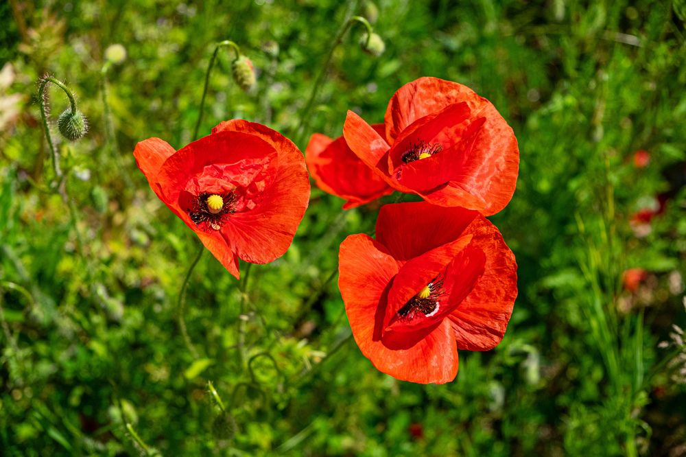 Photograph by Наталия Морозова