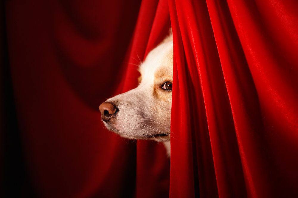 Photograph by Ольга Легенькая