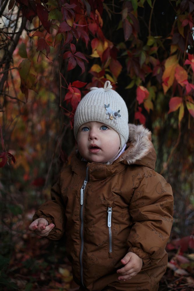 Photograph by Полина Новичихина