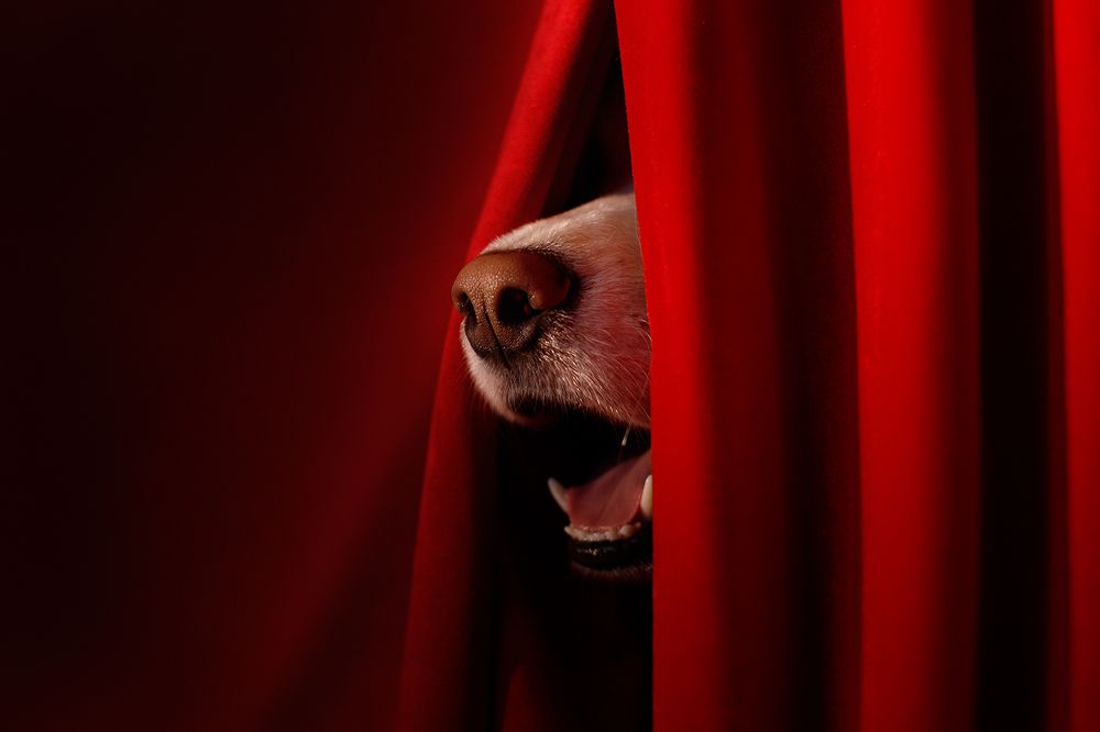 Photograph by Ольга Легенькая