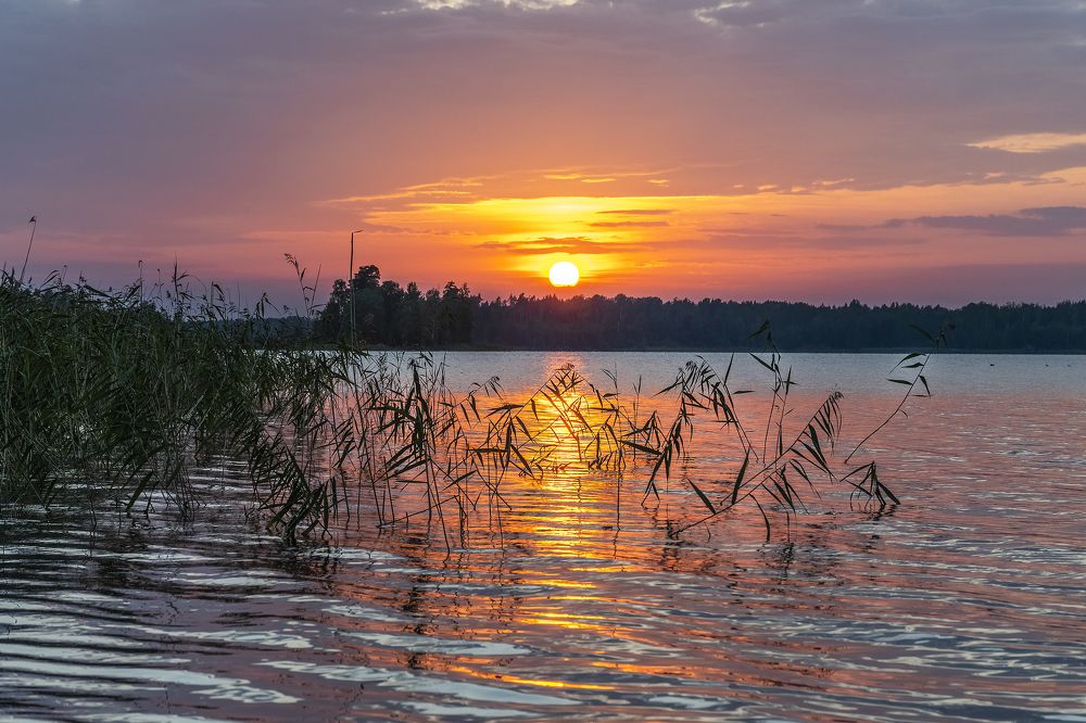 Photograph by Максим Сорокин